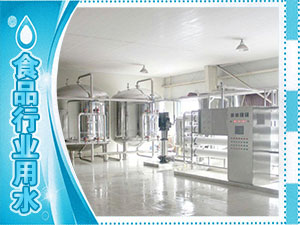 食品廠(chǎng)、水廠(chǎng)生產(chǎn)用水系列